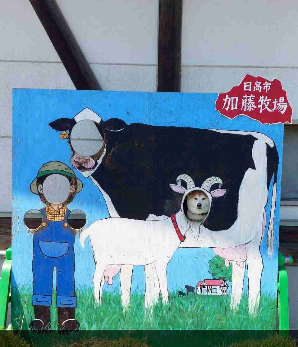 なんか変な画像を貼ってから寝るトピ