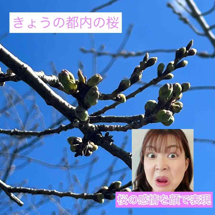 なんか変な画像を貼ってから寝るトピ