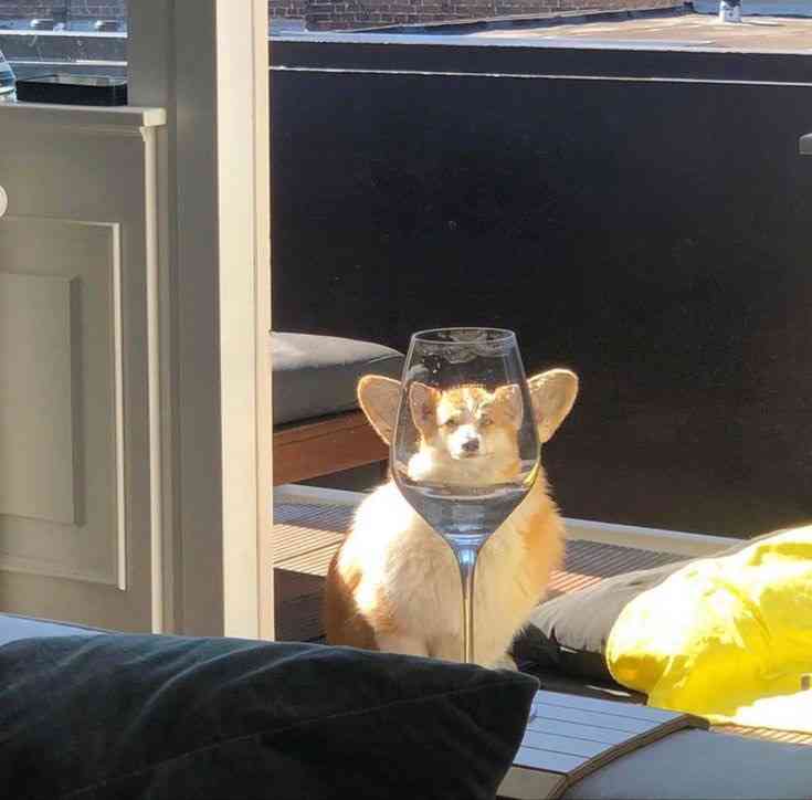 なんか変な画像を貼ってから寝るトピ