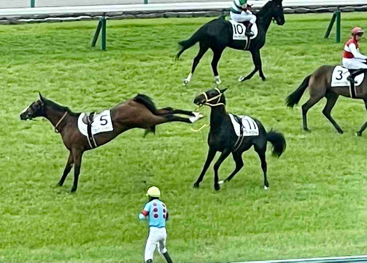 なんか変な画像を貼ってから寝るトピ