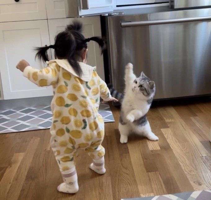 なんか変な画像を貼ってから寝るトピ