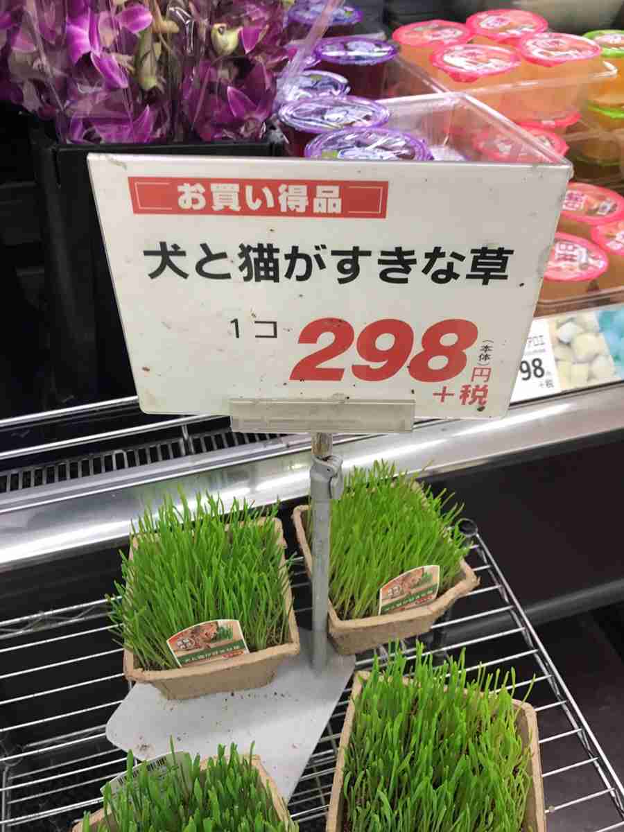 なんか変な画像を貼ってから寝るトピ