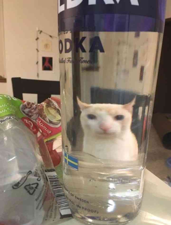 なんか変な画像を貼ってから寝るトピ