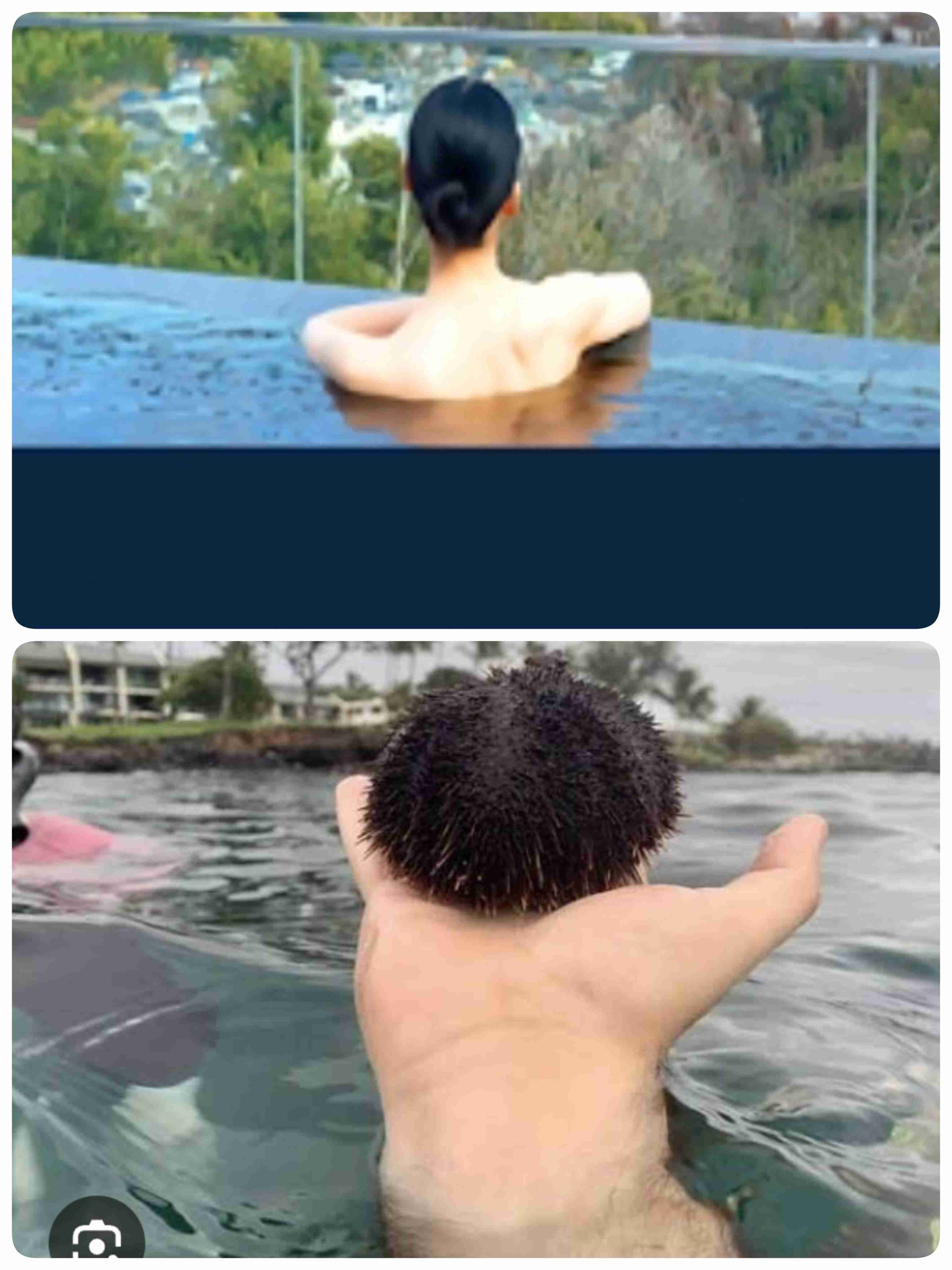 なんか変な画像を貼ってから寝るトピ