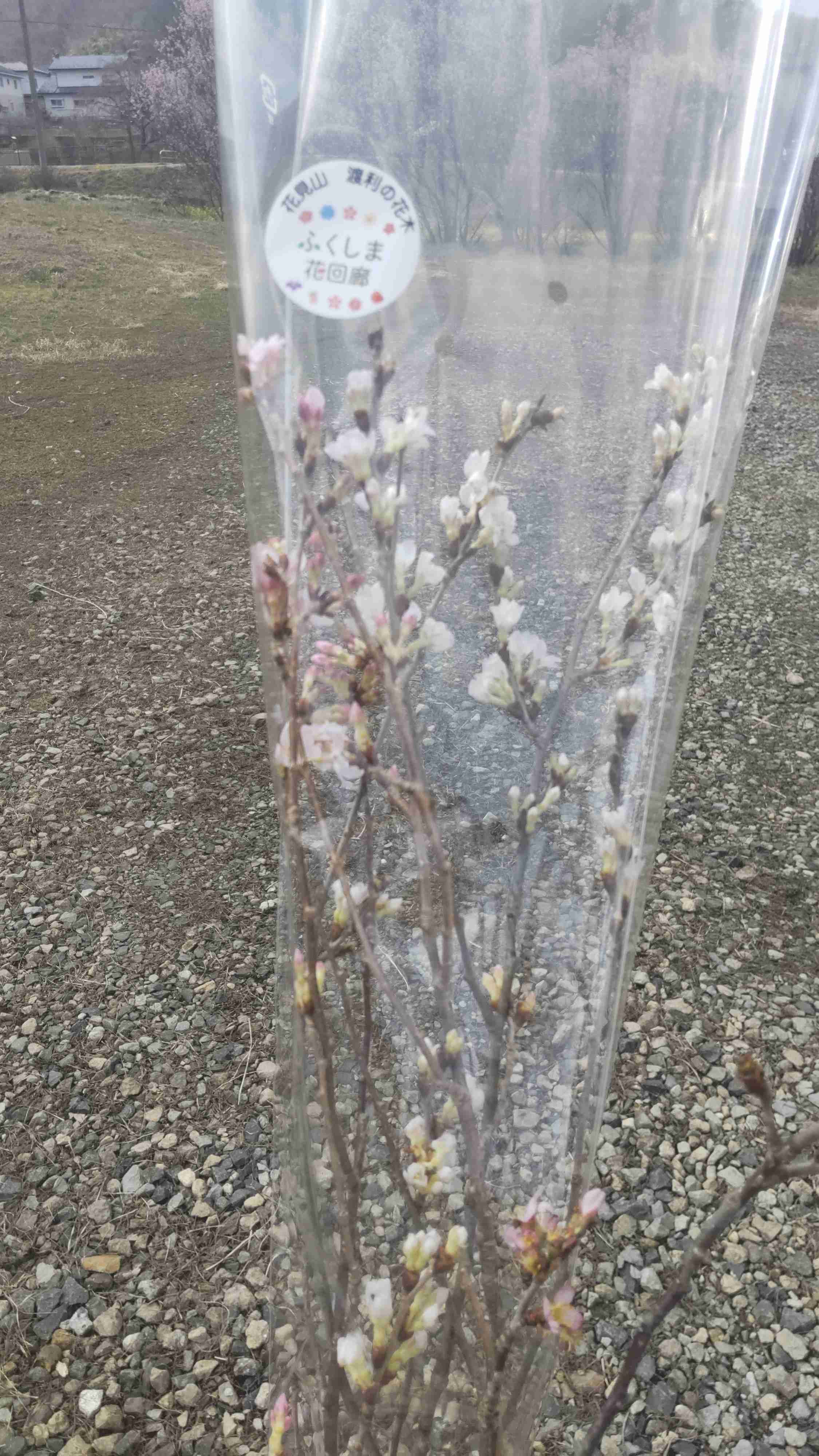 週末にみんなで楽しむ雑談トピpart8