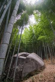 日本の古代で気になっていること part4