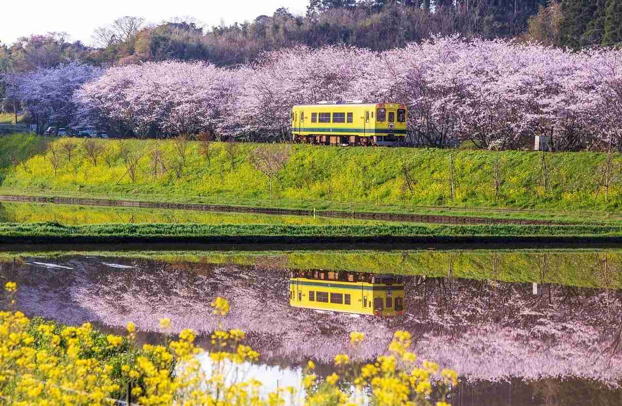 【都内近郊発】おすすめ一人旅【日帰り】