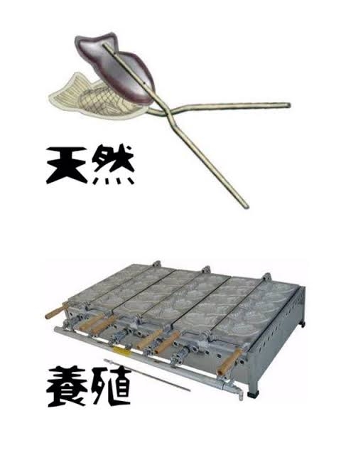 今日食べた甘い物を語ろう