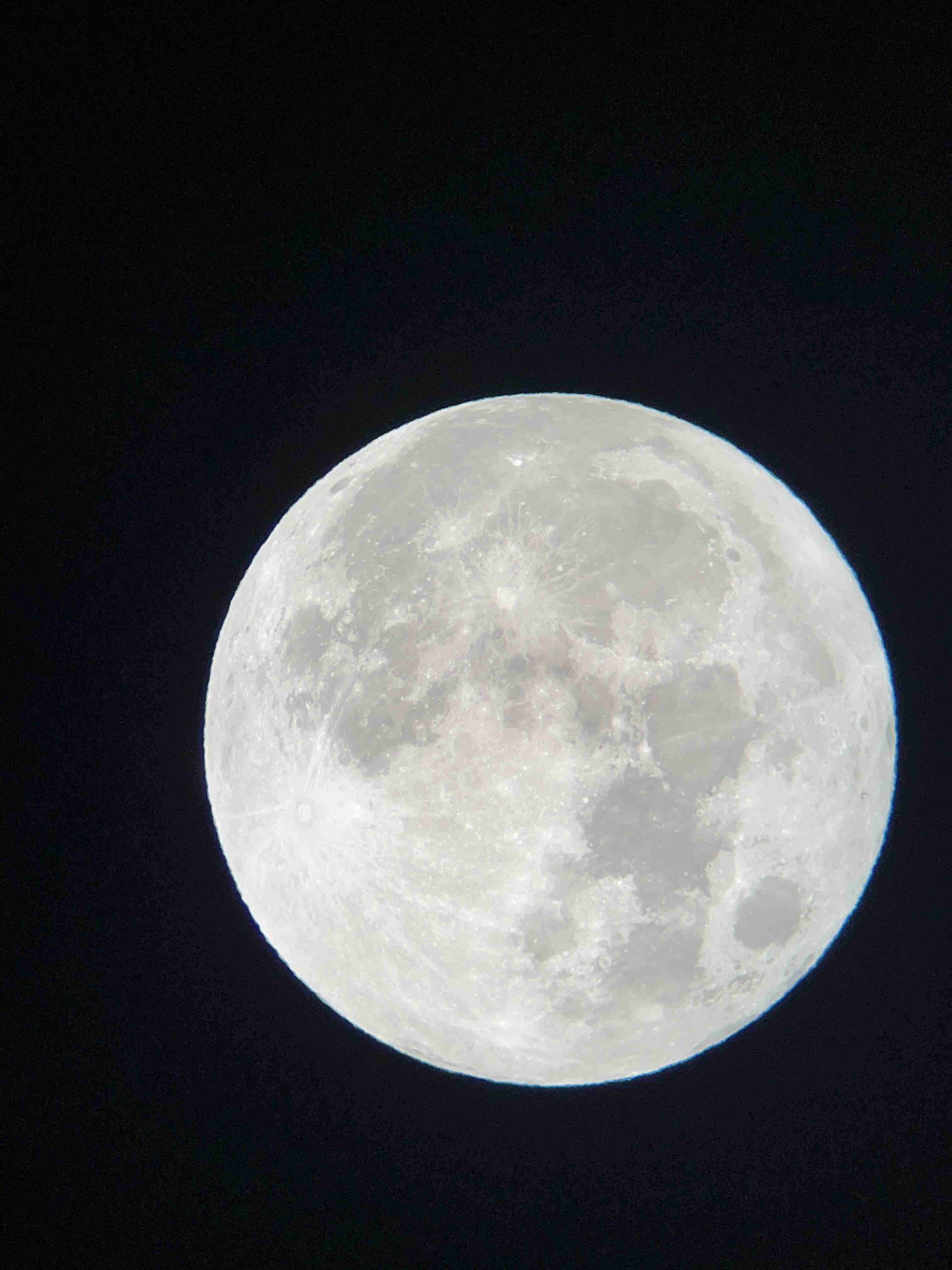 今月の雑談トピ【2024年3月】