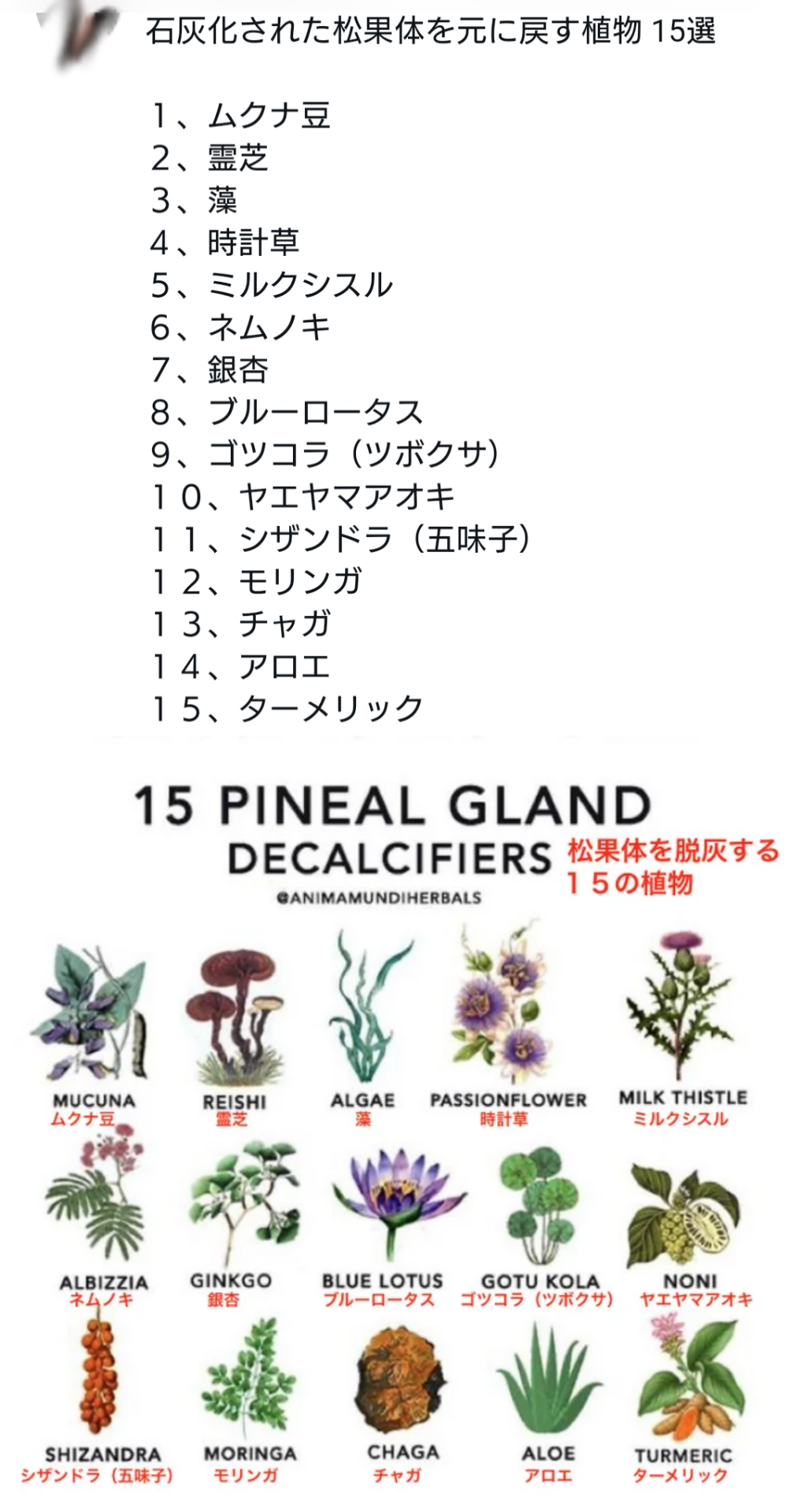 イルミナティ・陰謀論について語ろう Part20