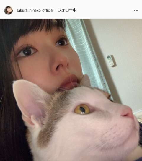 スゲー別人!27歳になった桜井日奈子が「だいぶ変わった」と騒然「色っぽい」「いい女」