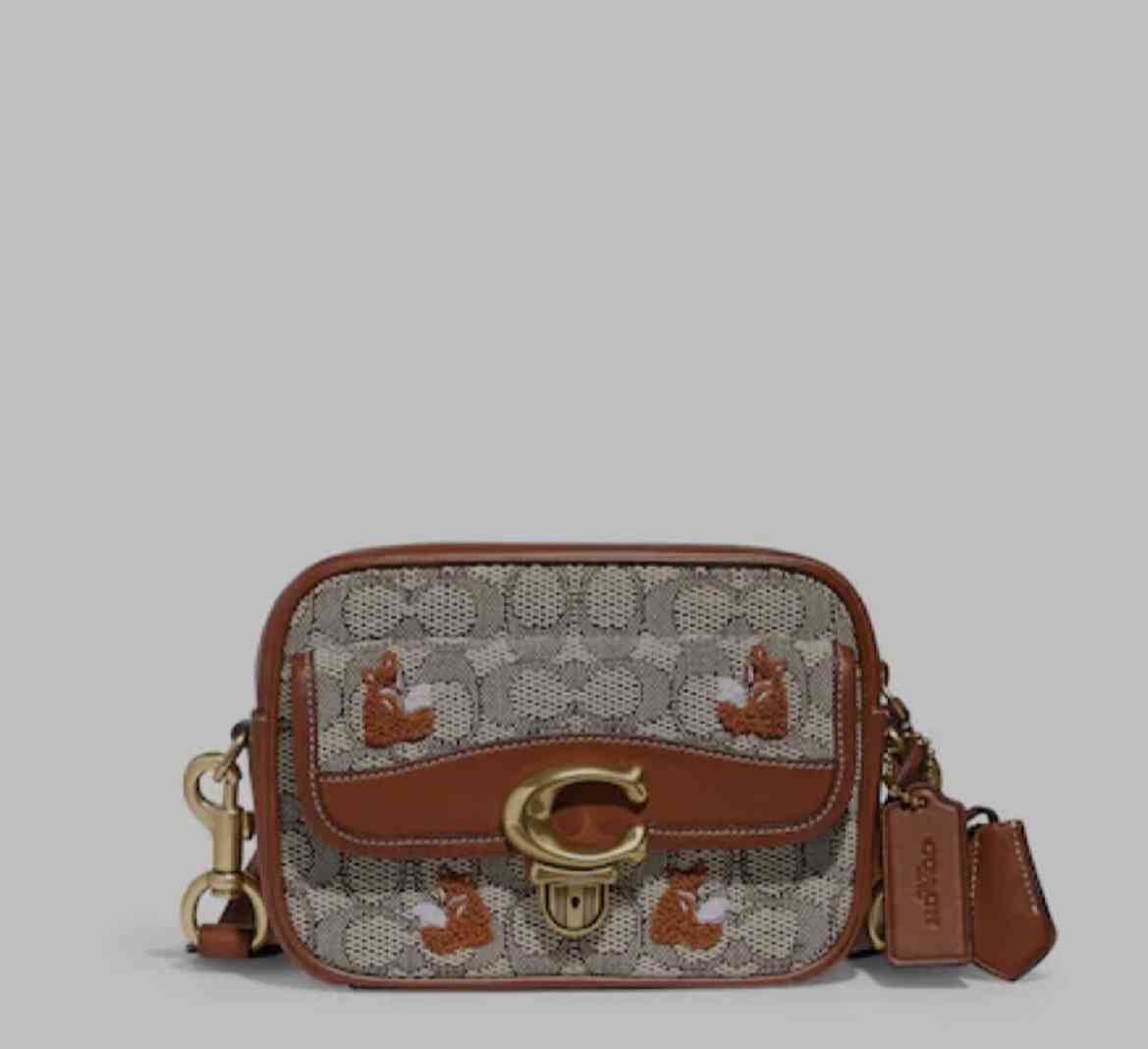COACH愛用者のトピ
