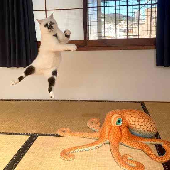 とにかく平和に雑談するトピpart15