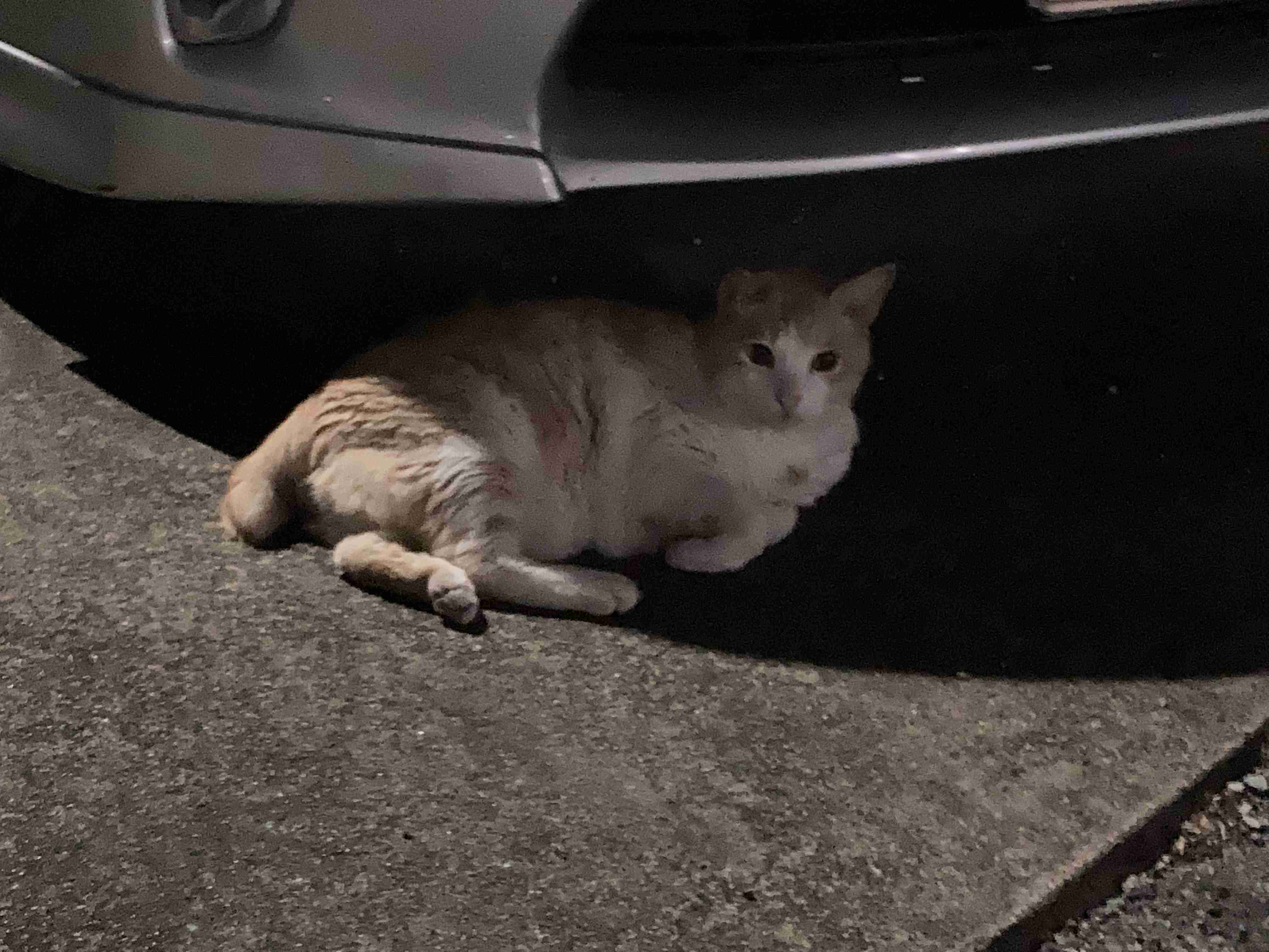 とにかく平和に雑談するトピpart15