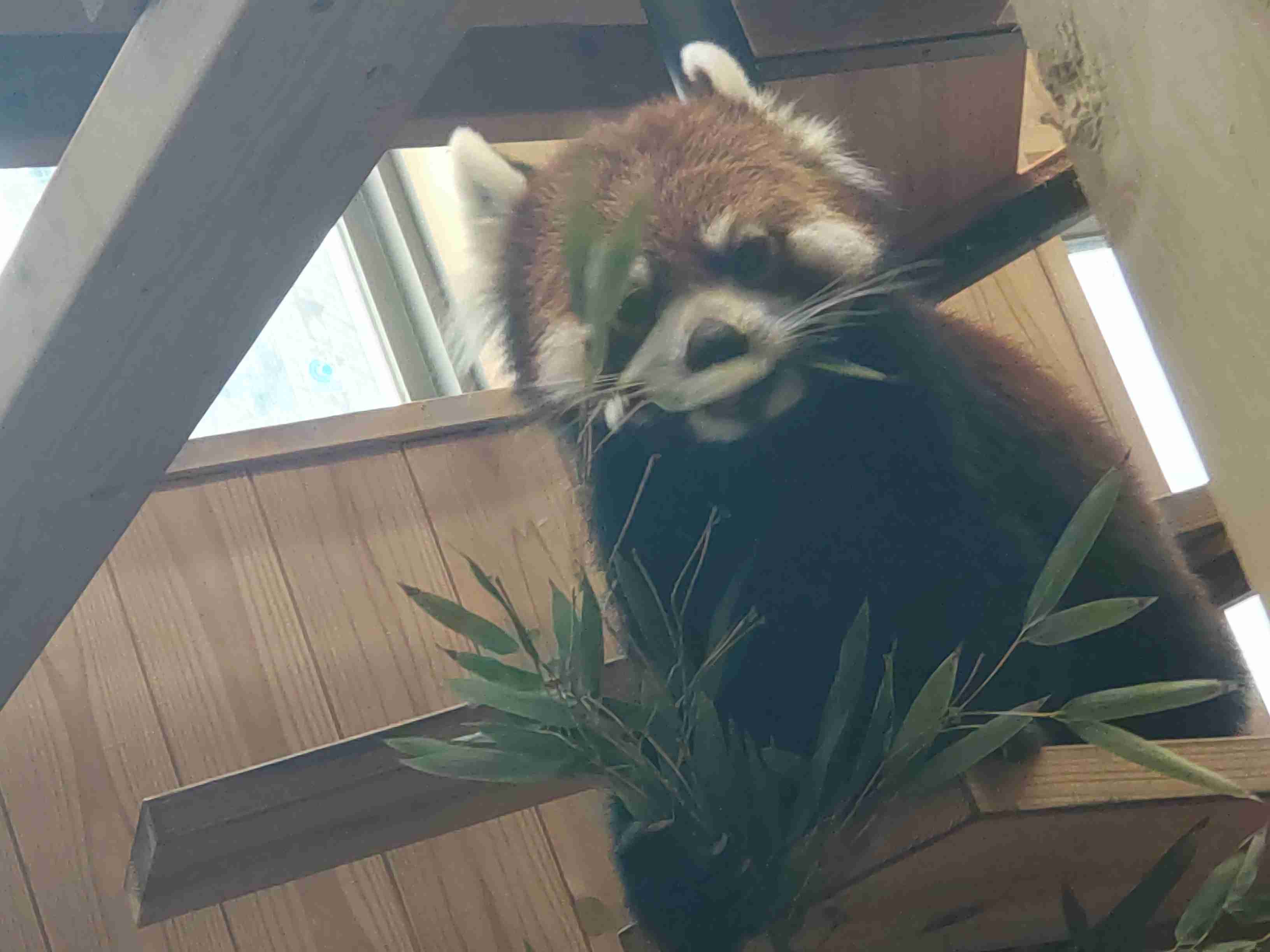 とにかく平和に雑談するトピpart15