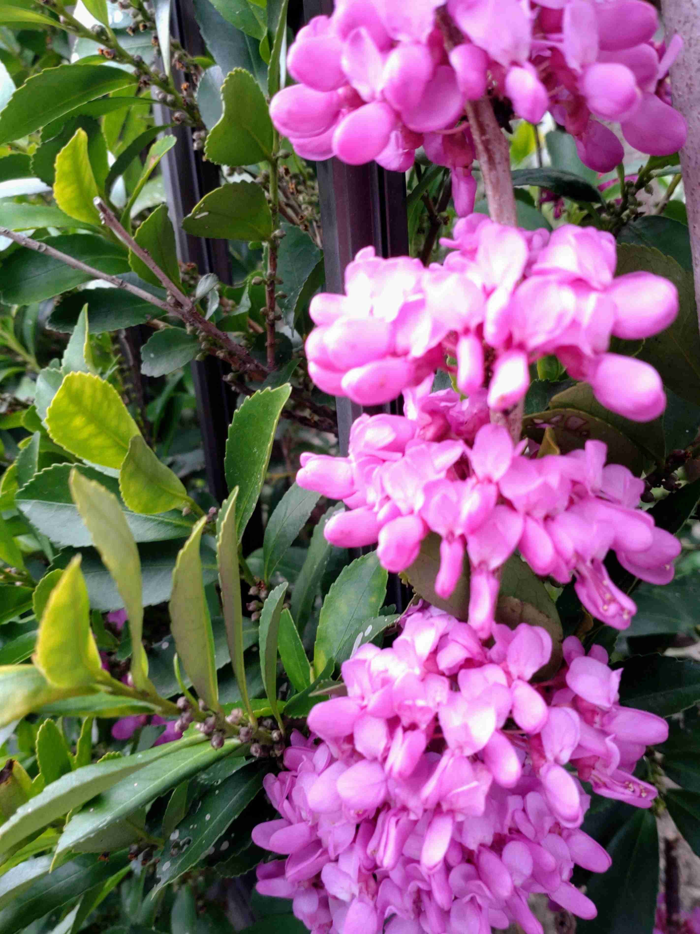 とにかく平和に雑談するトピpart15