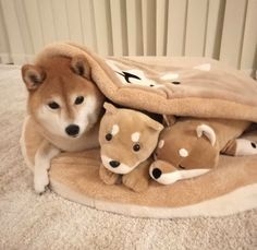 去年の今頃なにしてましたか？