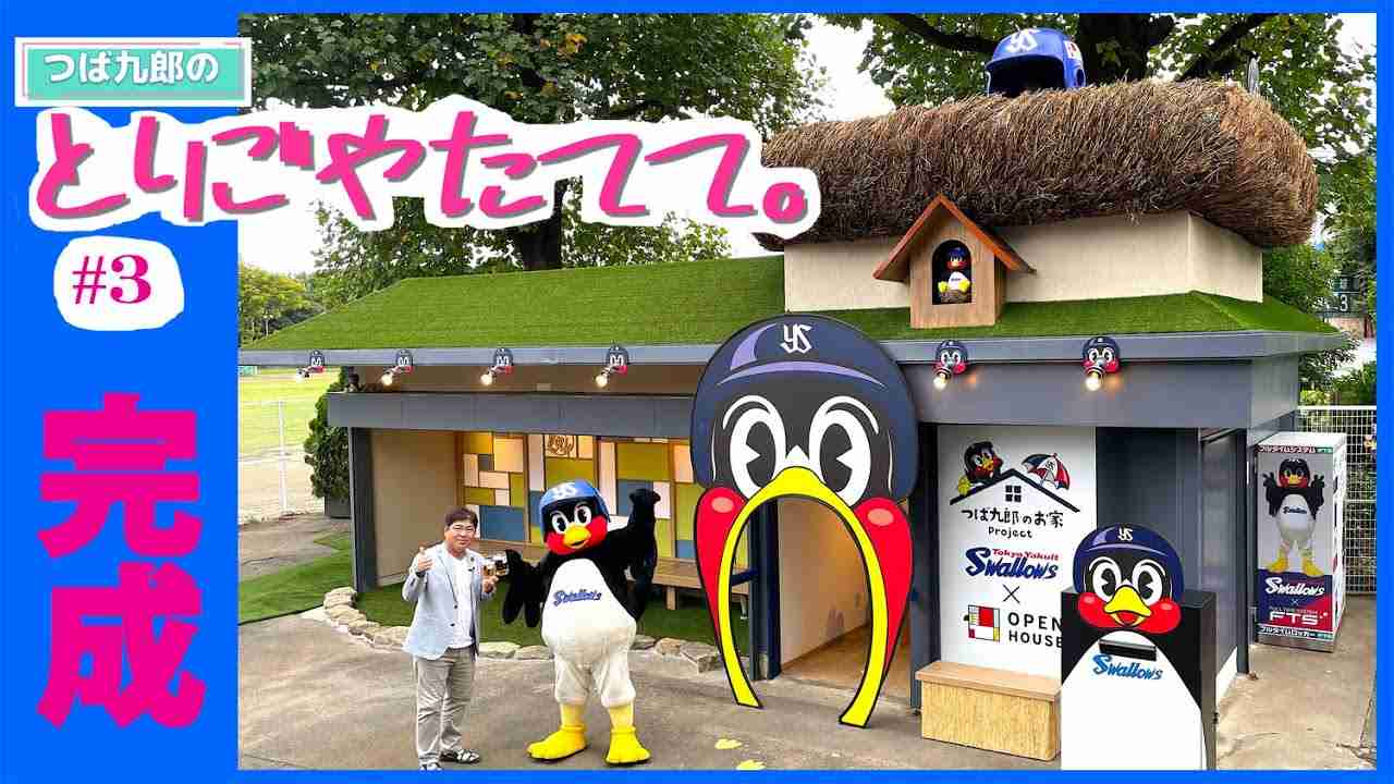 【プロ野球】推し球団以外で羨ましいな、やってみたいなと思うことなど