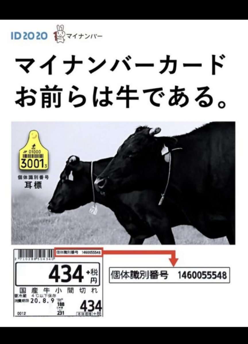 利用率に関係なく健康保険証廃止 マイナカード一本化で厚労相