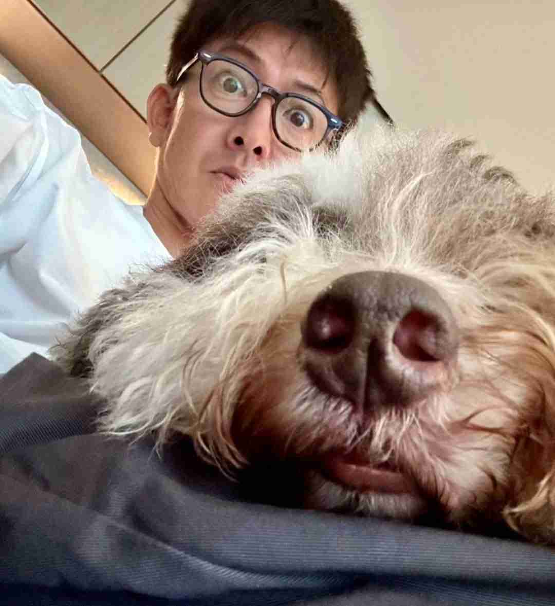 イケメンと動物