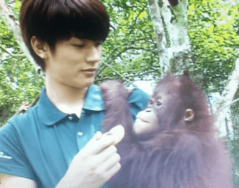 イケメンと動物