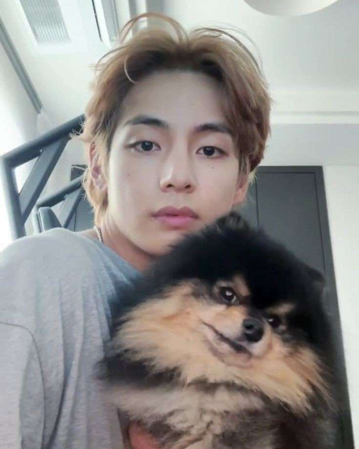 イケメンと動物