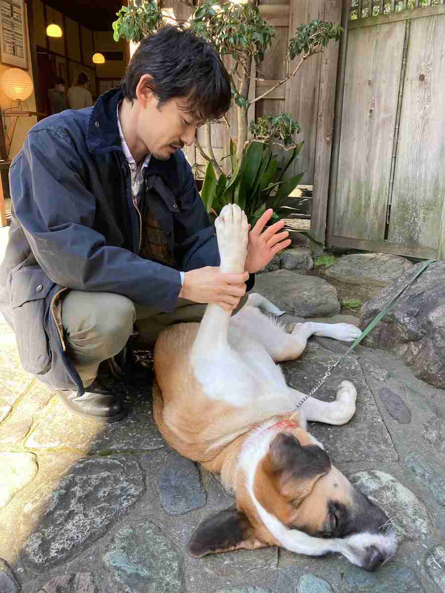 イケメンと動物