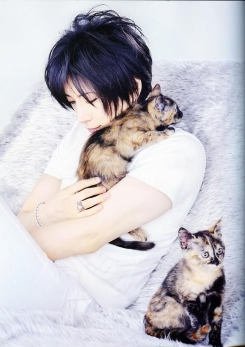 イケメンと動物