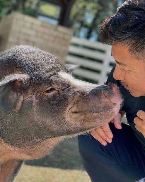 イケメンと動物