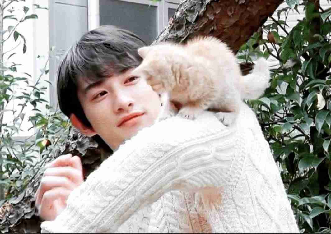 イケメンと動物