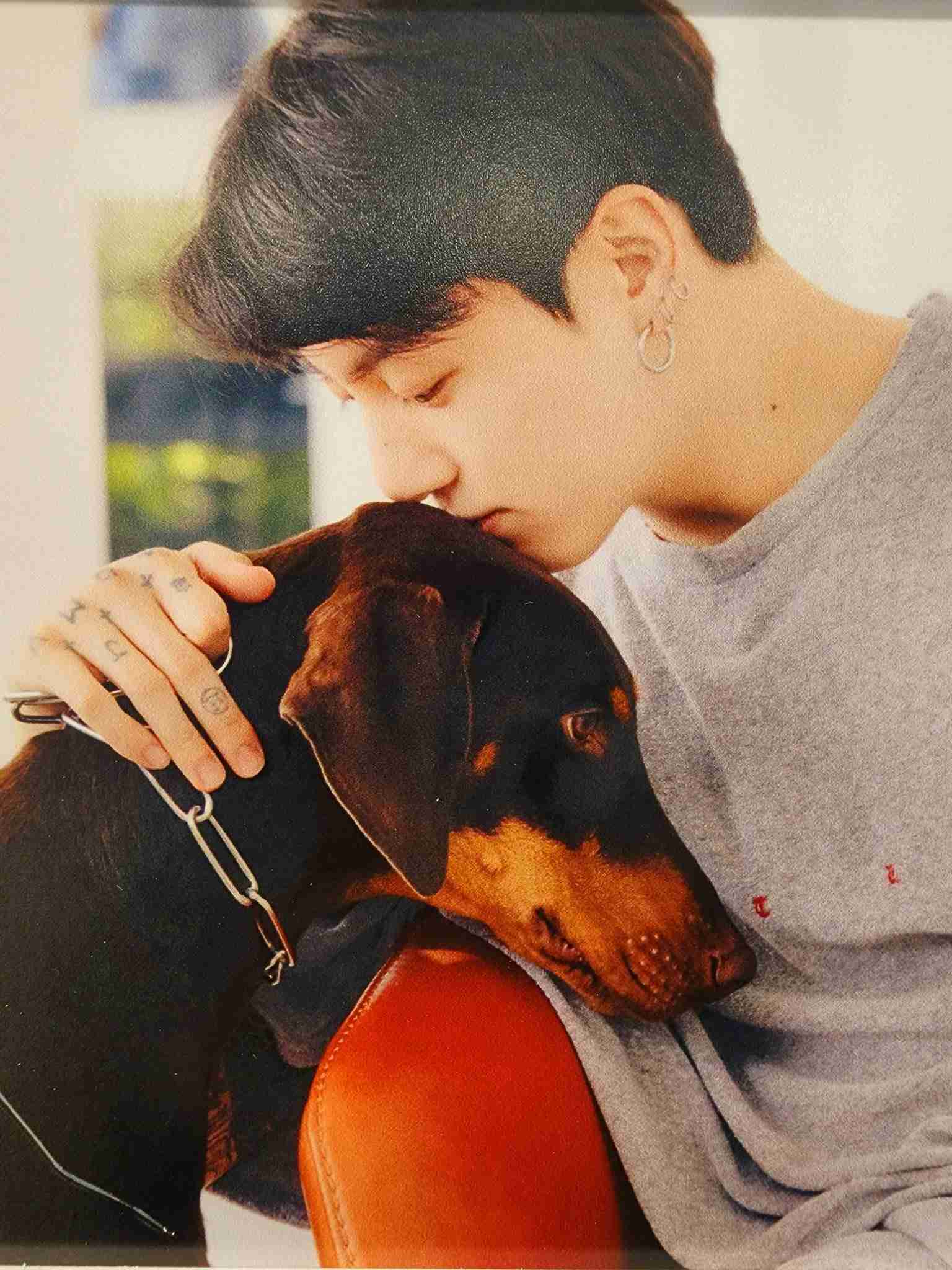 イケメンと動物