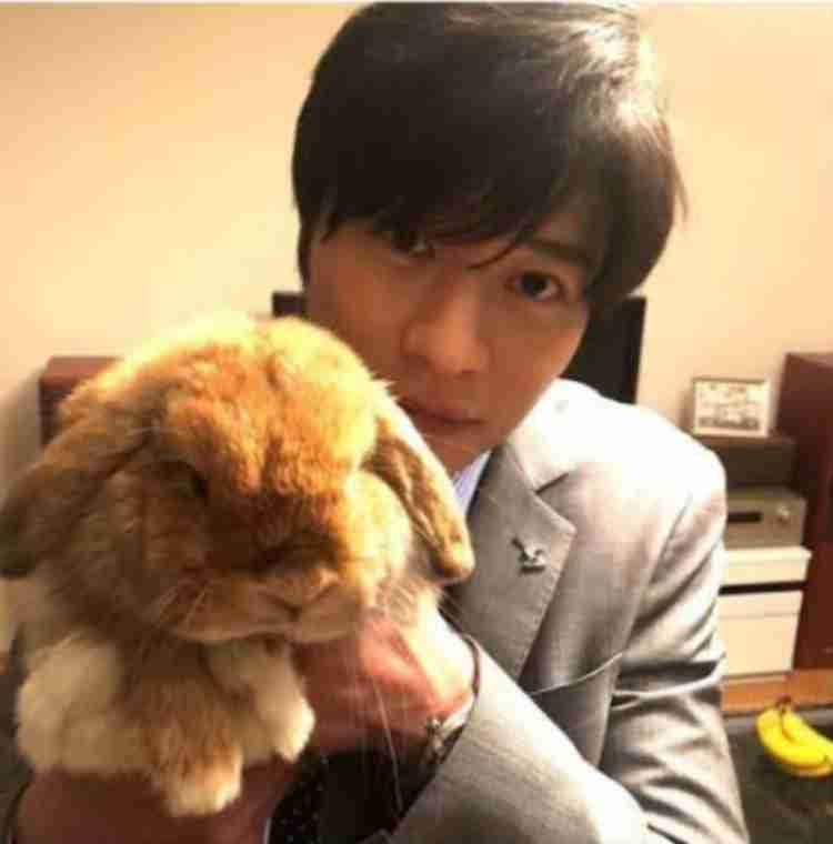 イケメンと動物