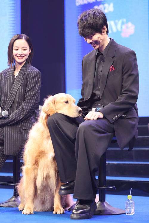 イケメンと動物