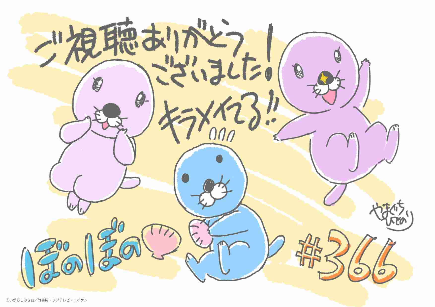 ラッコのキラ＆メイを24時間いつでも見られる！　鳥羽水族館のライブカメラにファン歓喜…大人気飼育員・石原さんも映るかも
