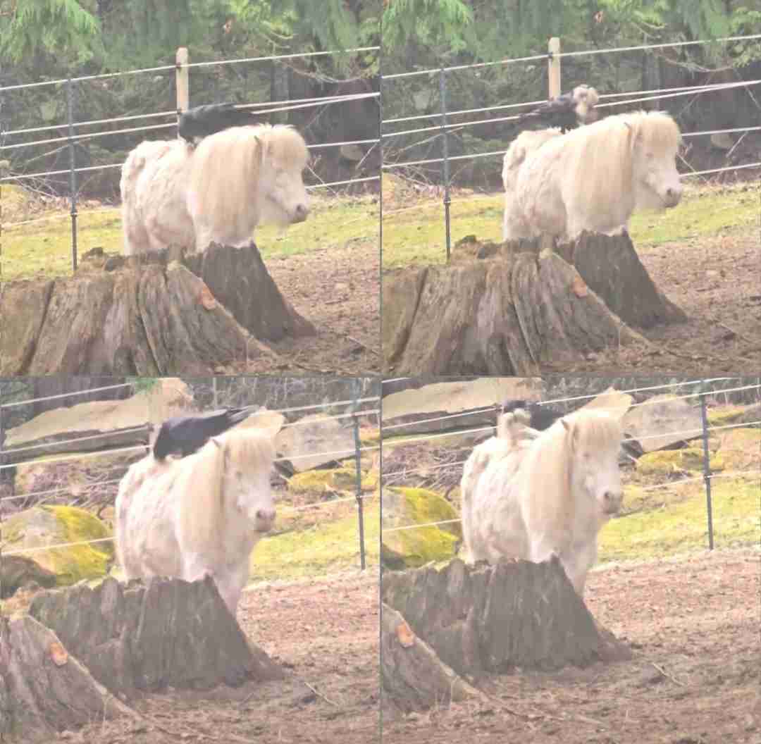 週末にみんなで楽しむ雑談トピpart8