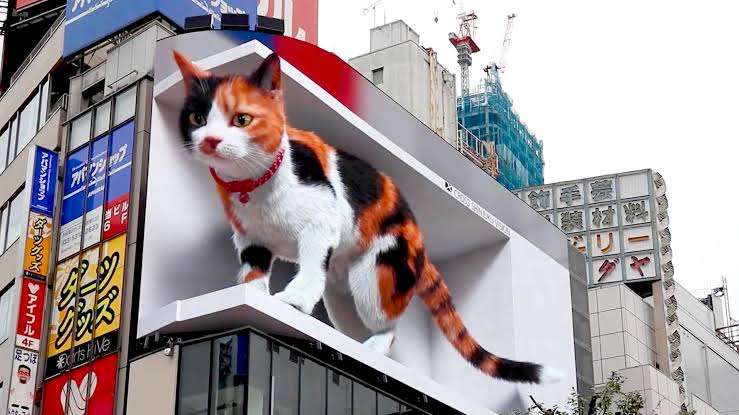 猫の画像を貼ると名前を付けてくれるトピ Part3
