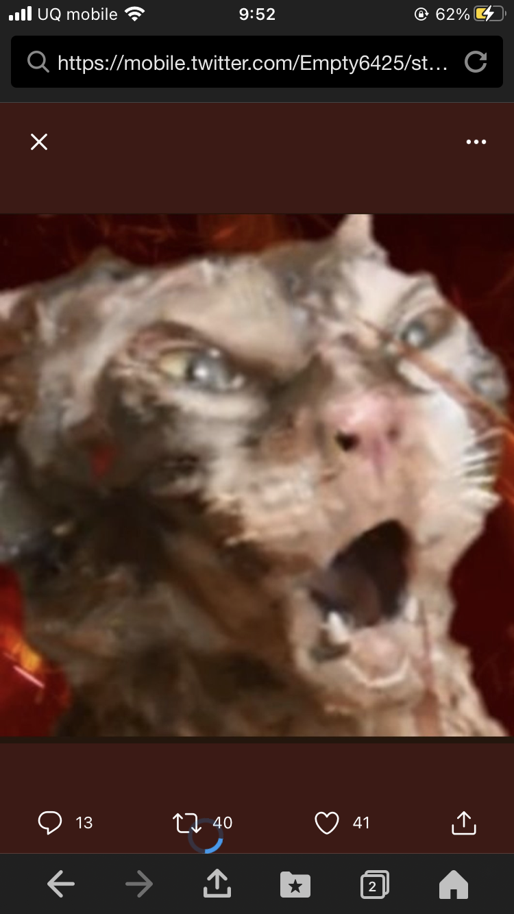 猫の画像を貼ると名前を付けてくれるトピ Part3