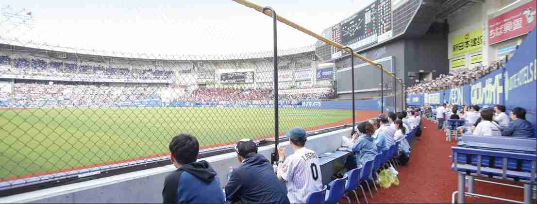 野球観戦に詳しい方!初心者に教えてくださいPart.2