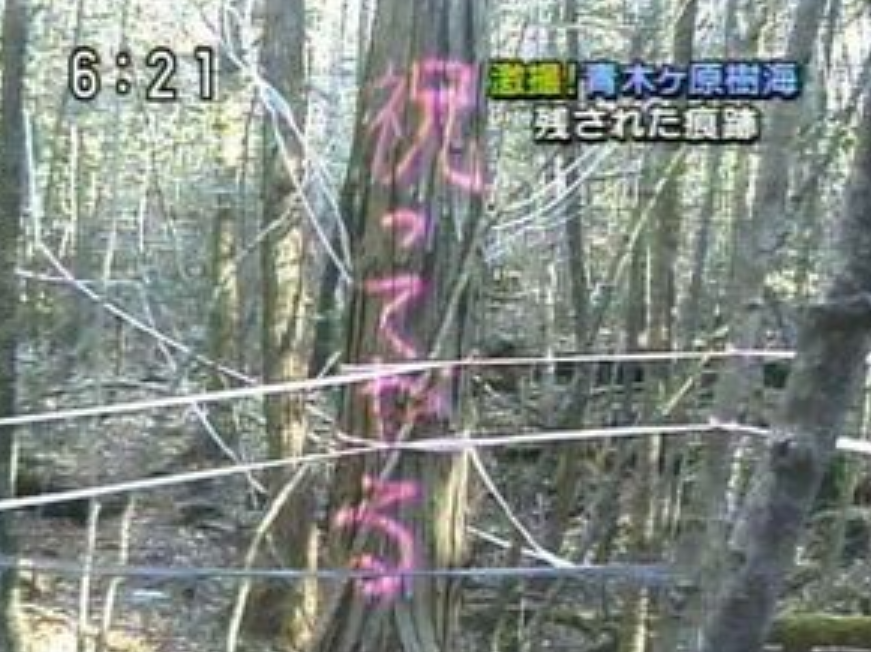 【なぜ?】世間に騒がれない枠のイケメン芸能人Part2