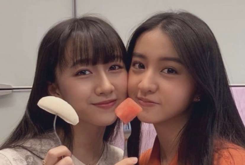 芸能人の兄弟姉妹が見たい part5