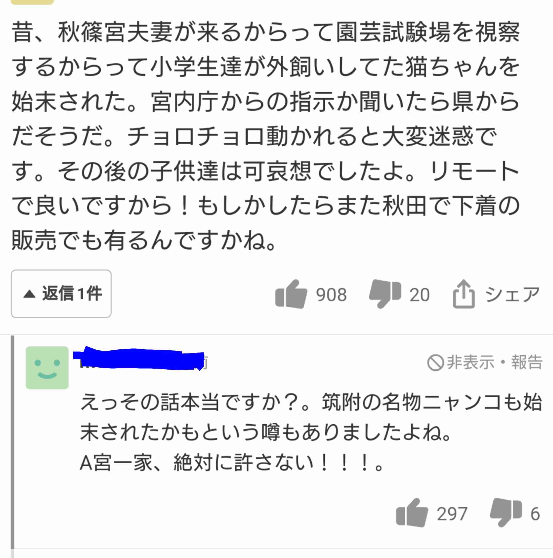 本物は違うなぁと思ったこと