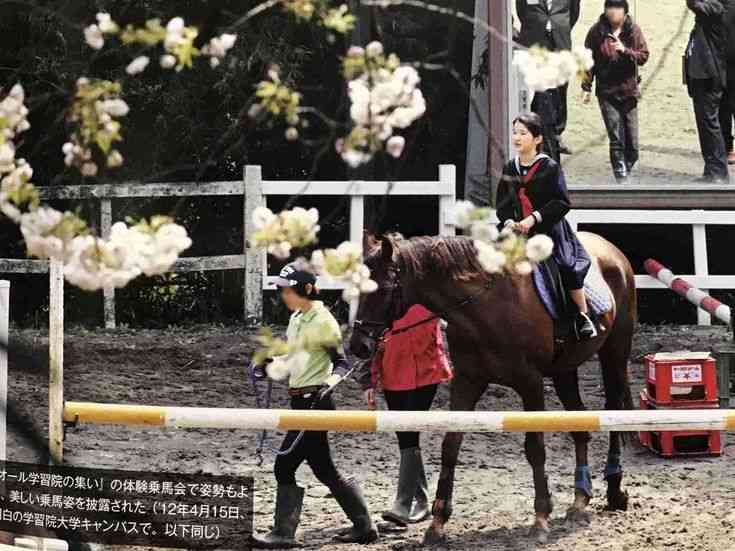 本物は違うなぁと思ったこと