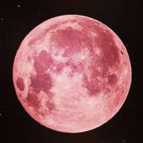 日本人宇宙飛行士2人が月面へ 月面探査車で1カ月生活も アルテミス計画