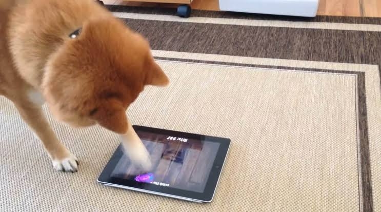 実用性ほぼ無いけど、ちょっと欲しいなと思ったもの