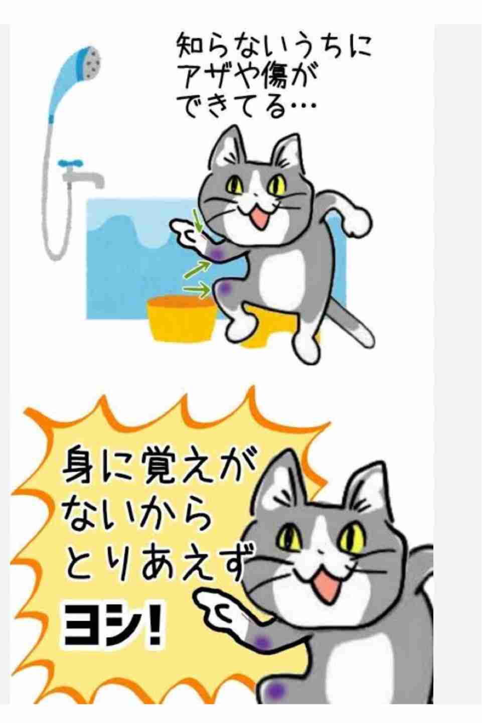 今日どんな夢見た?