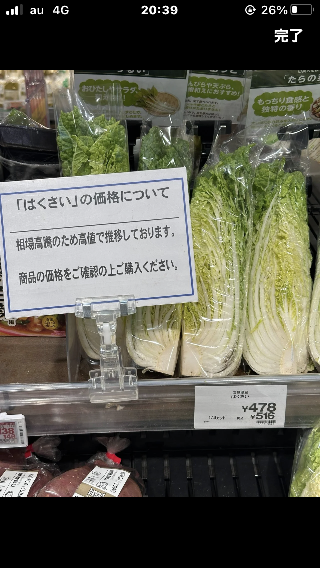 子育て支援金の年収別徴収金額を公表 年収200万円だと月350円、年収600万円以上で月1000円超に