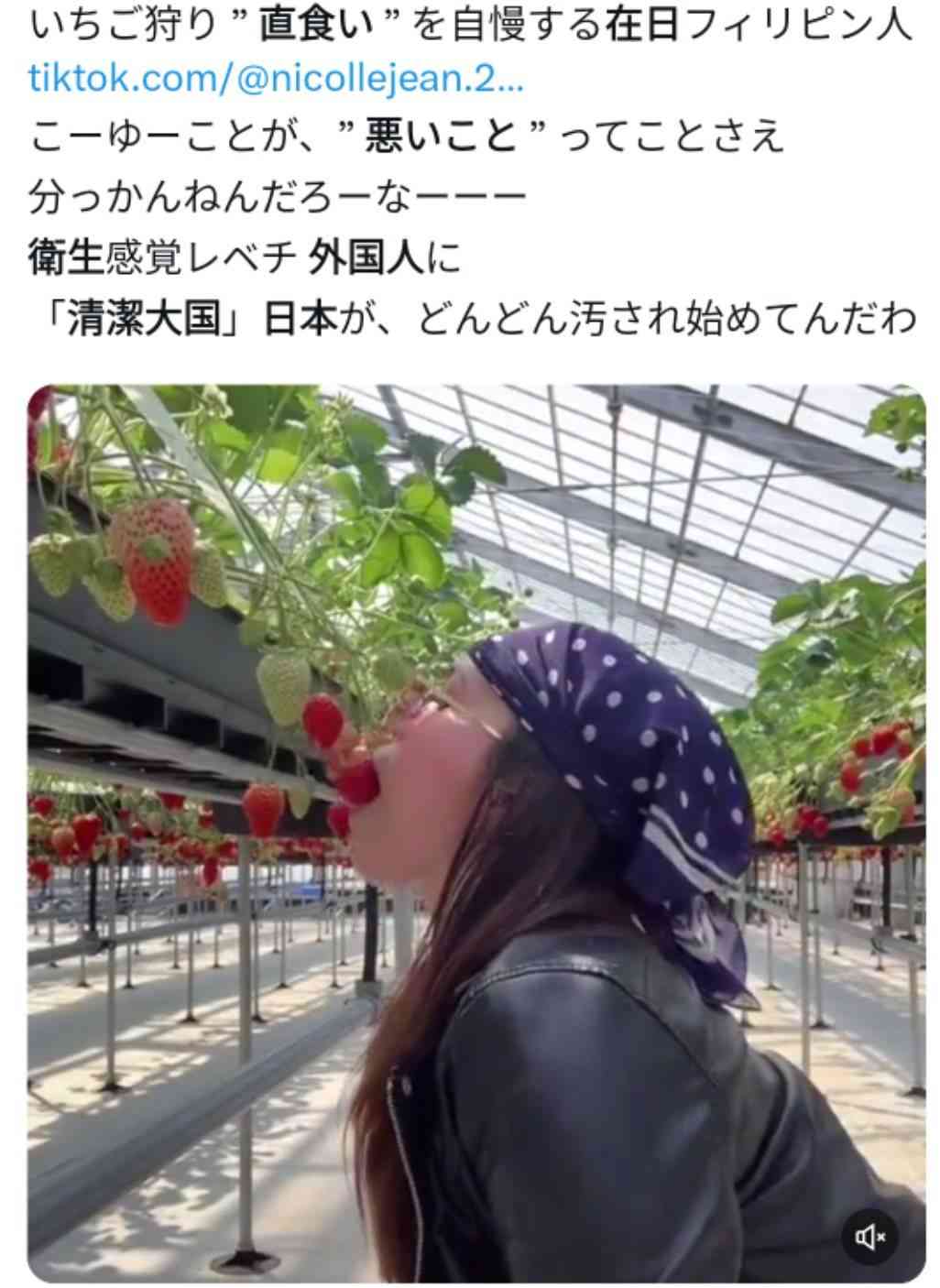 子育て支援金の年収別徴収金額を公表 年収200万円だと月350円、年収600万円以上で月1000円超に
