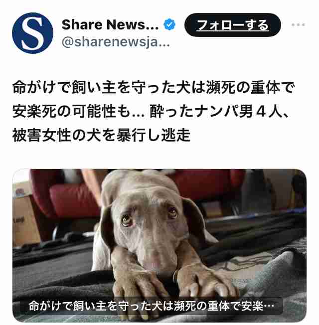 後藤祐樹氏、犬への「集団暴行」SNS情報に激怒「対人間と同じ罪で裁けばいい…法律甘すぎる」