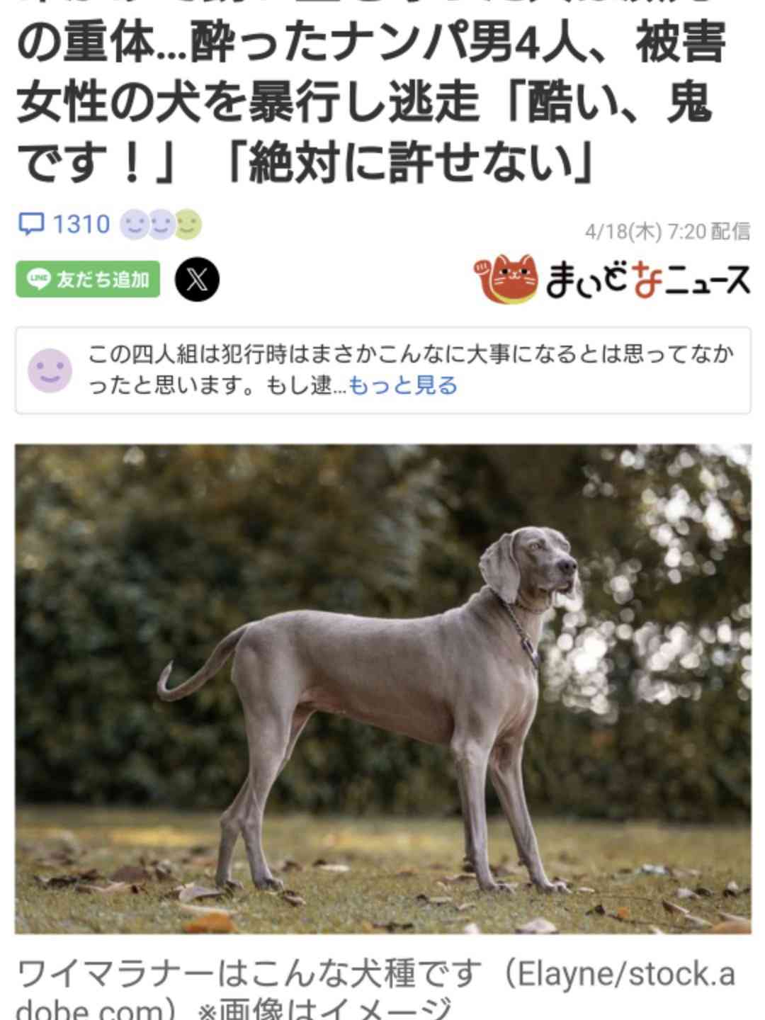 後藤祐樹氏、犬への「集団暴行」SNS情報に激怒「対人間と同じ罪で裁けばいい…法律甘すぎる」