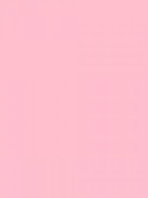 ガルのテーマカラー何にしてますか?